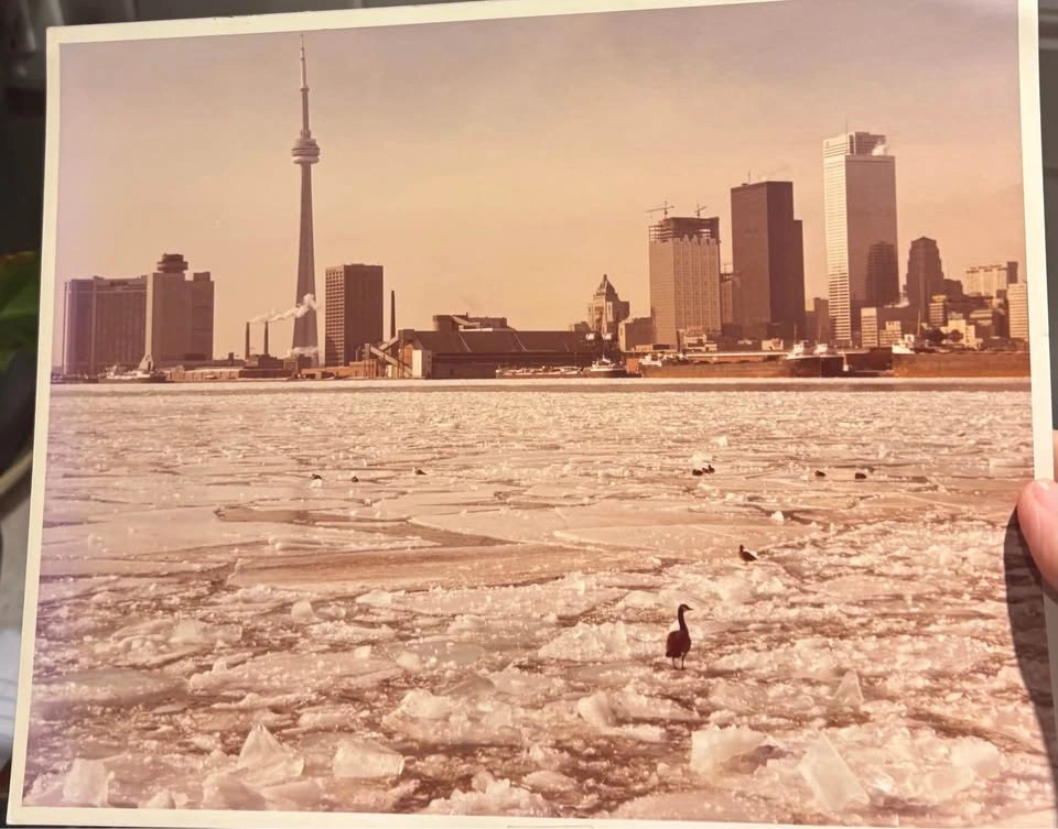 Vintage Toronto Photos (1970s) – CN Tower, Ontario Place, Yorkvi - photo 3
