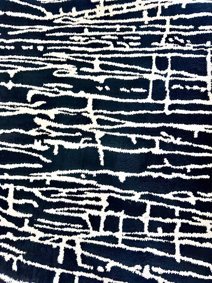 Honaye Modern Geo Lines Black/White Area Rug