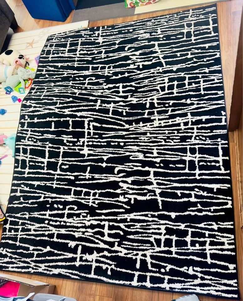Honaye Modern Geo Lines Black/White Area Rug - photo 2