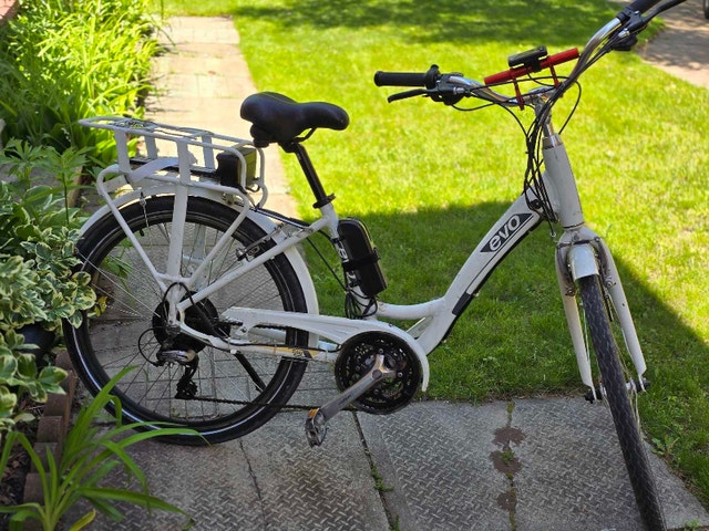 Customized EVO Electric Bicycle - New Components