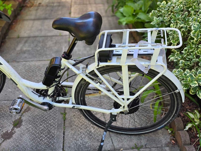 Customized EVO Electric Bicycle - New Components - photo 3