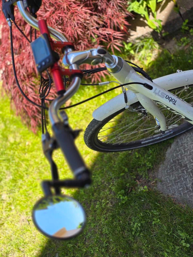 Customized EVO Electric Bicycle - New Components - photo 4