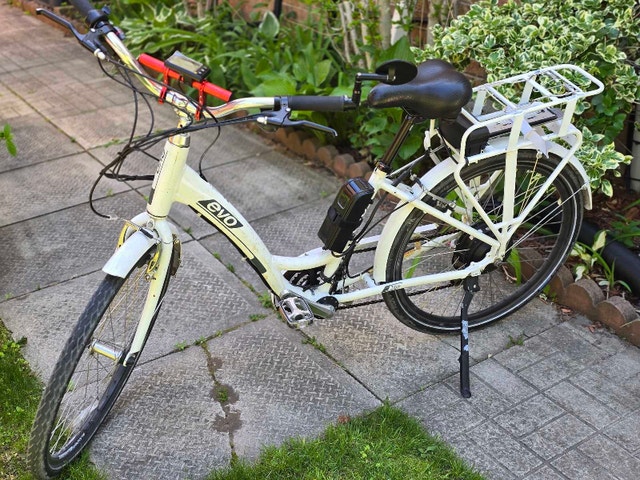 Customized EVO Electric Bicycle - New Components - photo 5
