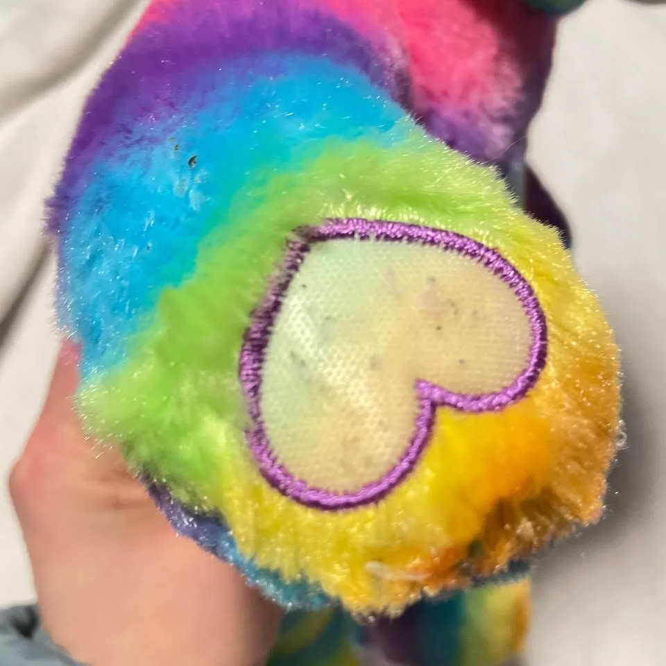 Build a bear rainbow bear image indicator(9)