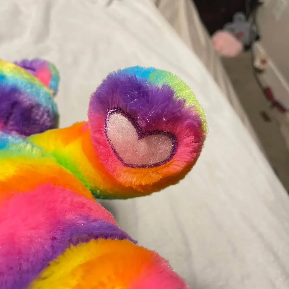 Build a bear rainbow bear image indicator(10)
