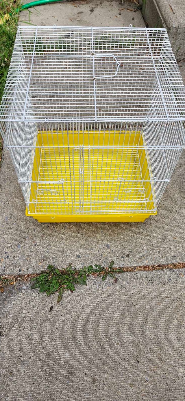 Bird Cage