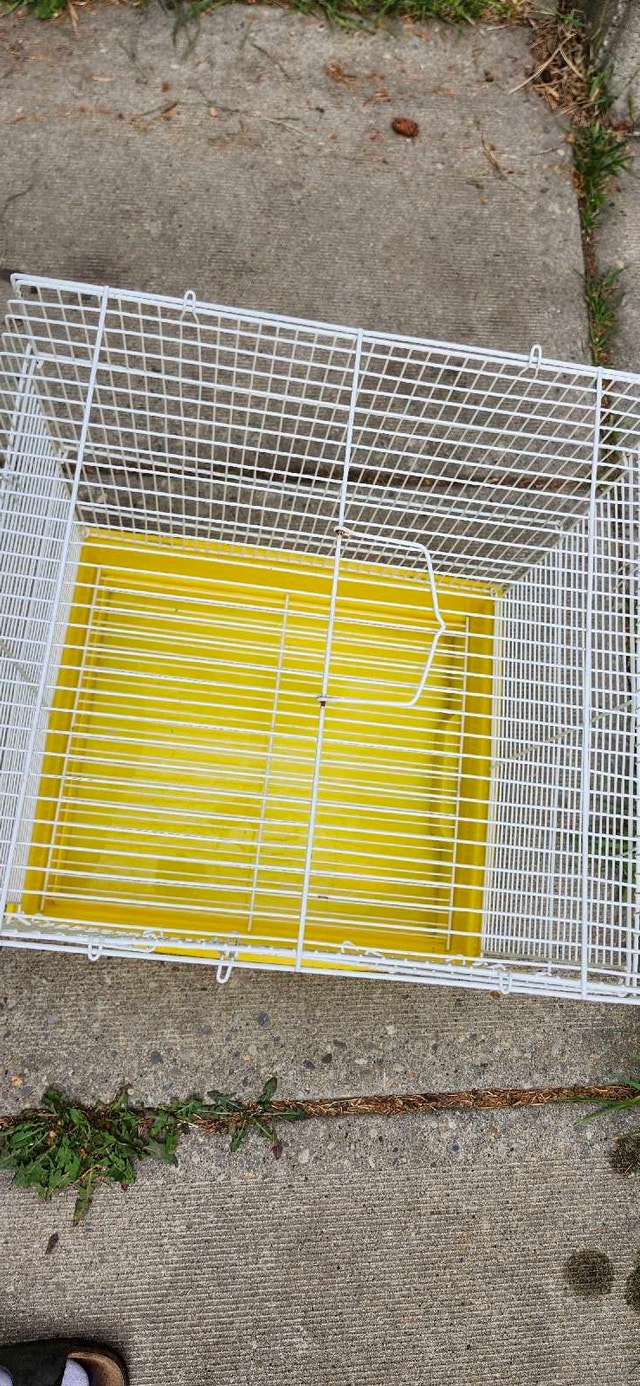 Bird Cage - photo 2