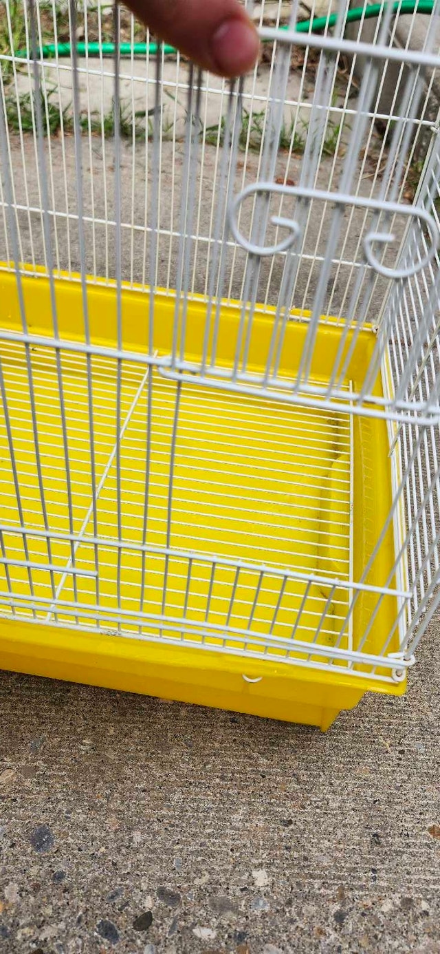 Bird Cage - photo 3