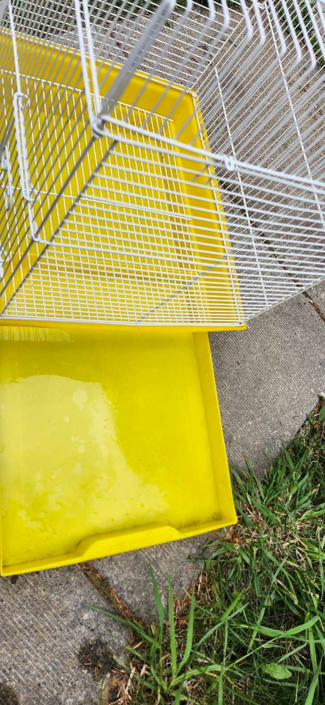 Bird Cage - photo 5