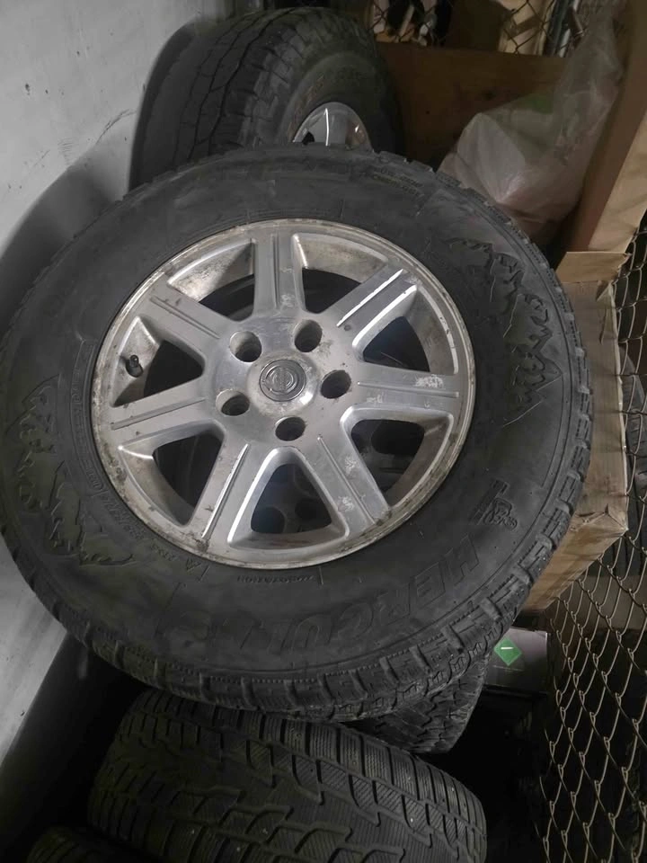 Winter Tires & Rims for Chrysler/Dodge Minivan