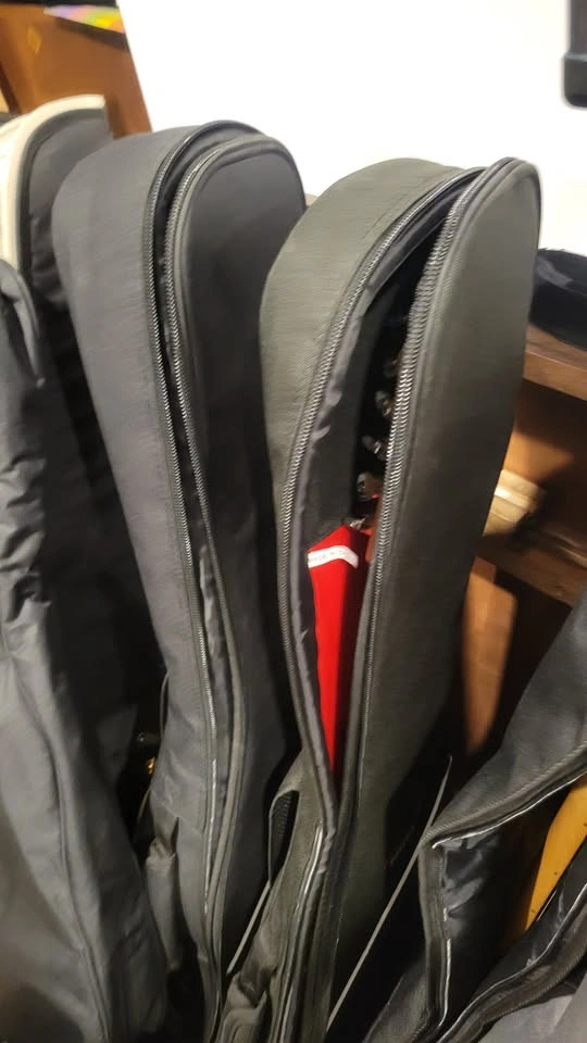 $40 Rouge Valley Bags for Guitar or Bass - photo 3