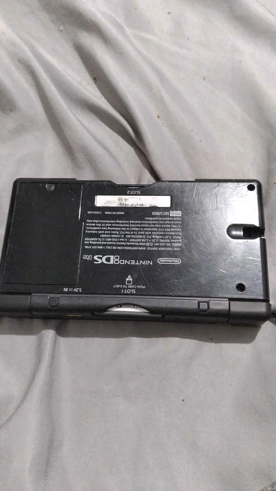 Ds lite - photo 2