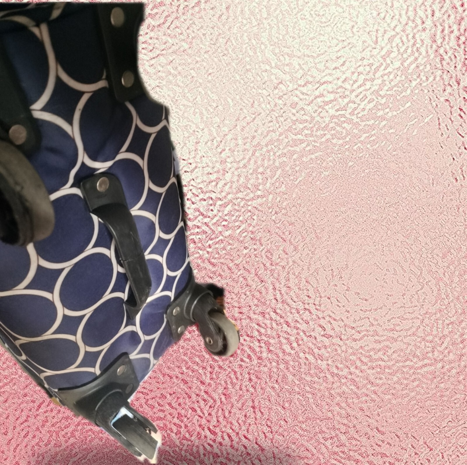 Roadster Rolling Luggage/ Jenni Chan (Royal Blue 🔵 Design) Pop H - photo 2