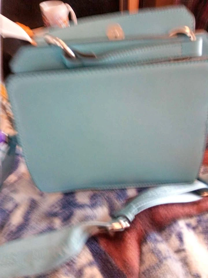 Steve Madden purse