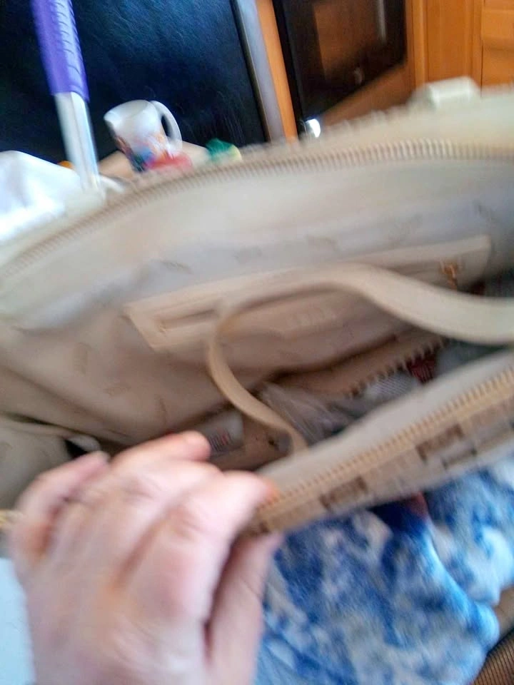 Bebe Purse