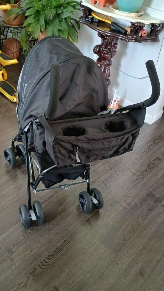 Ingenuity 3Dmini Stroller - photo 3
