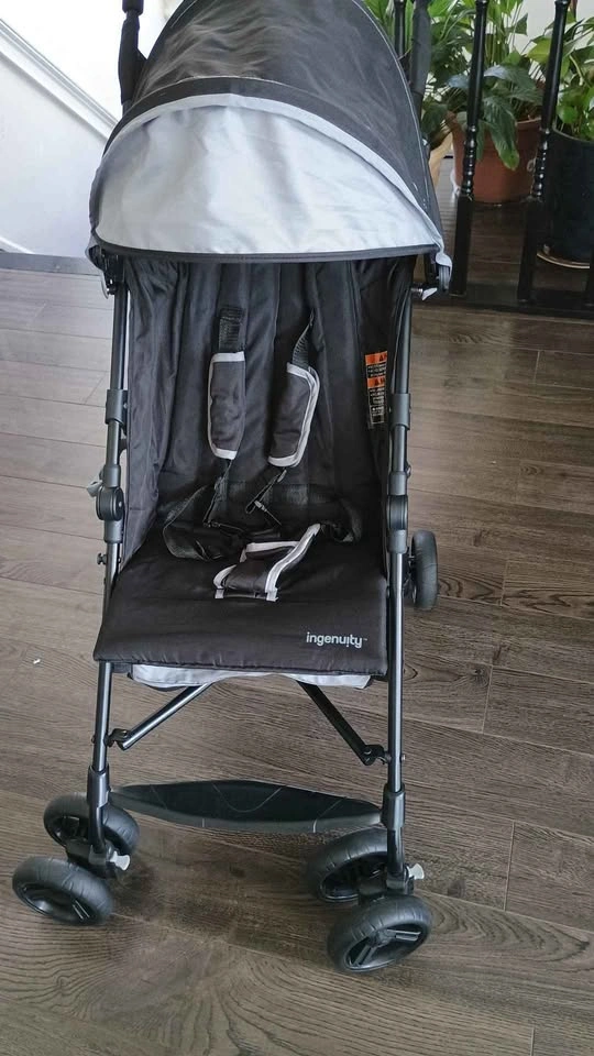 Ingenuity 3Dmini Stroller - photo 5