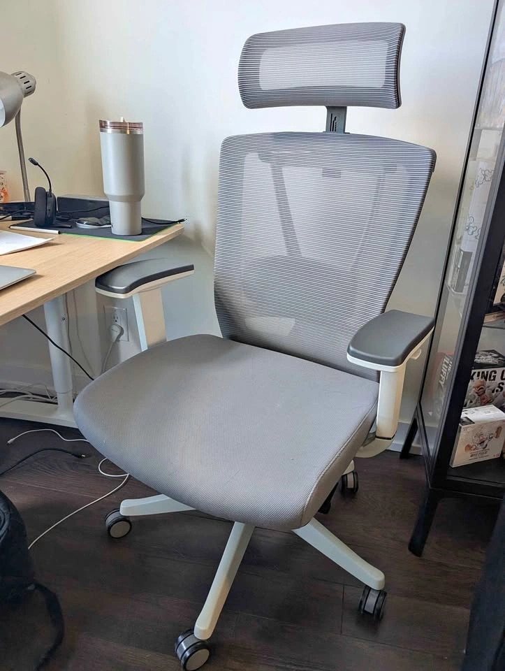 Autonomous Ergo Chair Pro - Gaming/Office Chair