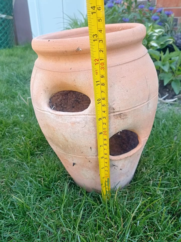 Strawberry or Herbs Terracotta Pot