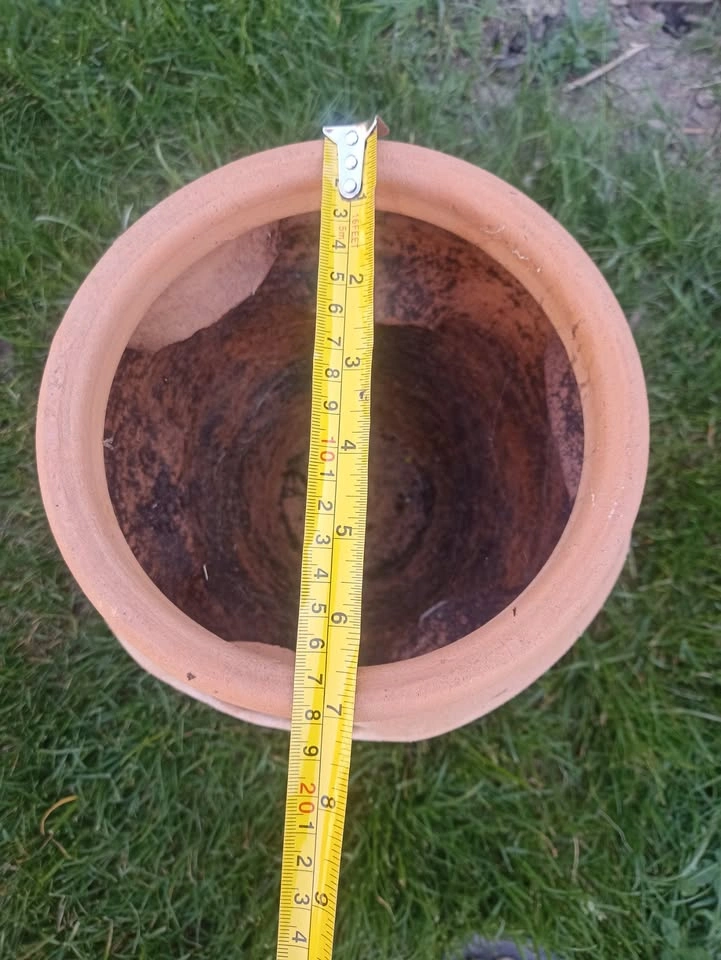 Strawberry or Herbs Terracotta Pot - photo 2