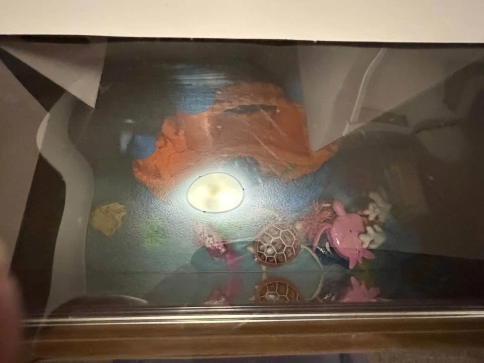 Robo Alive Aquarium's - photo 3