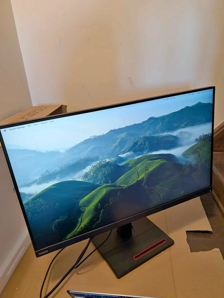 Lenovo ThinkVision T32p-20 31.5" 4K Monitor