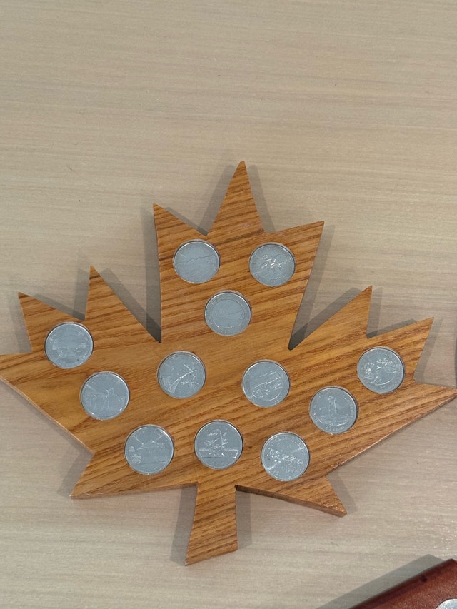 Canadian Coin Display Boards 1999-2001 - photo 2