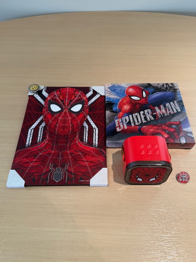 Marvel Spider-Man Decor and Speaker Set