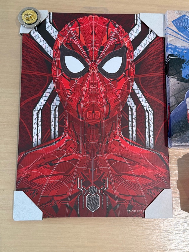 Marvel Spider-Man Decor and Speaker Set - photo 4
