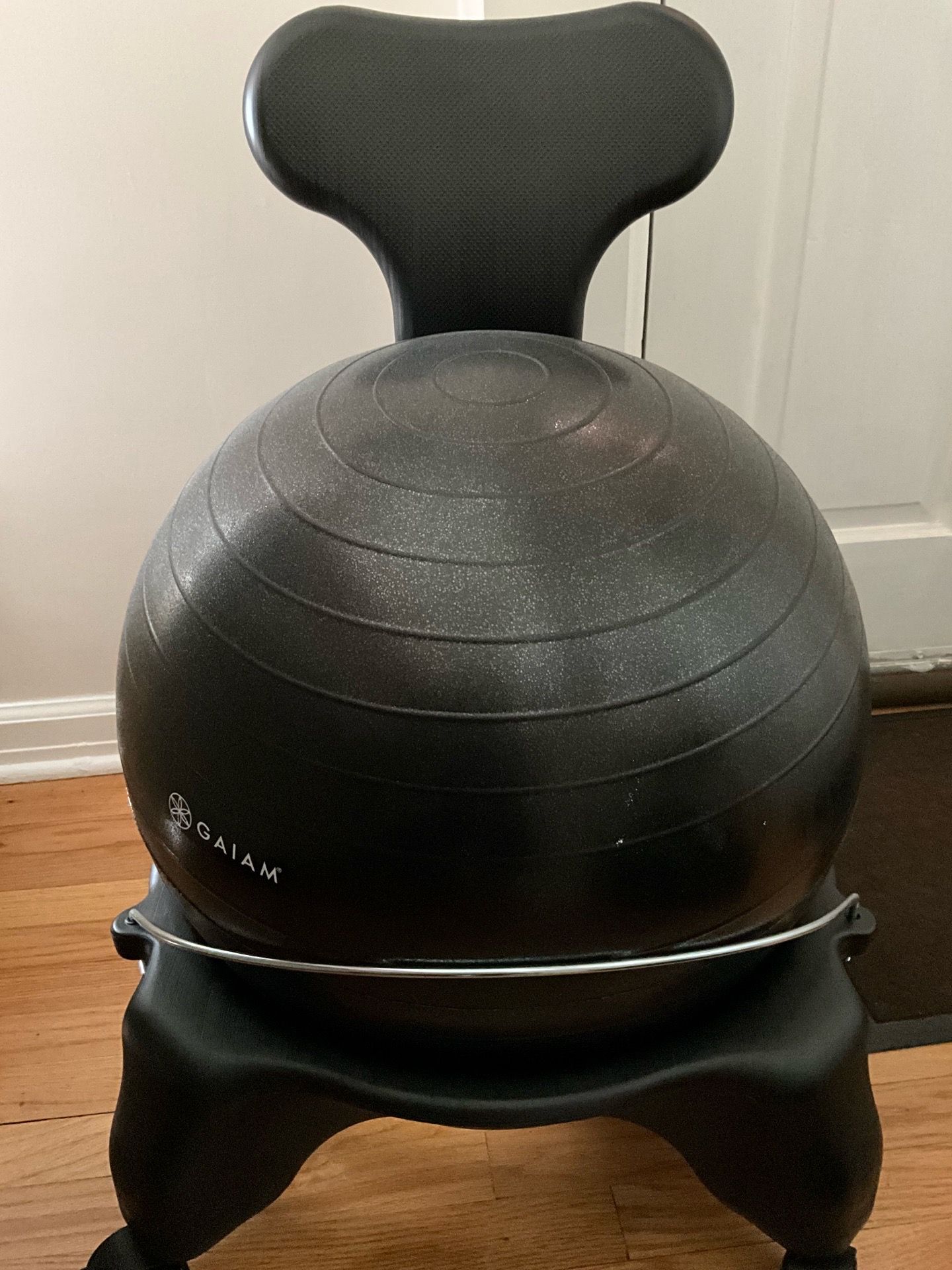Gaiam Balance Ball Chair