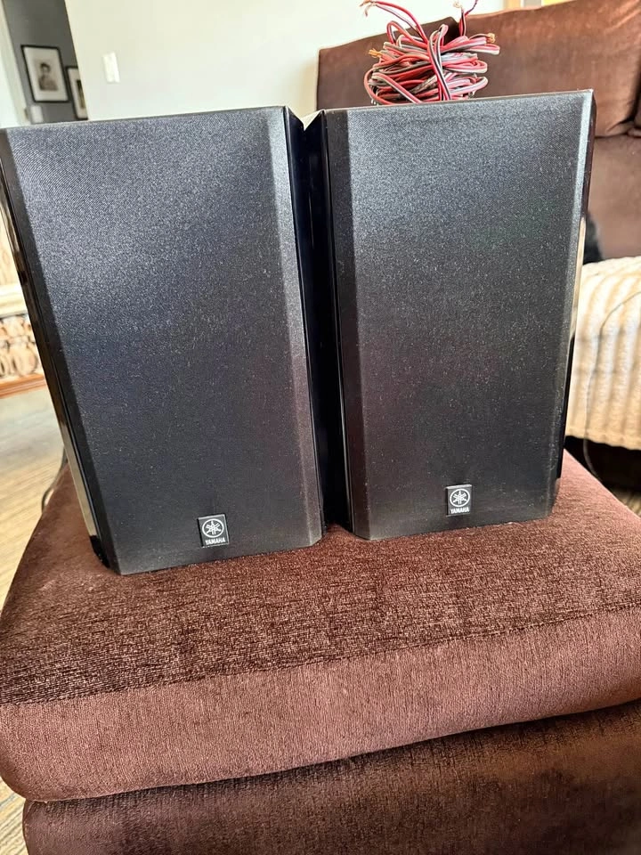 Yamaha Natural Sound Stereo System CDX-E100 RX-E100 Speakers