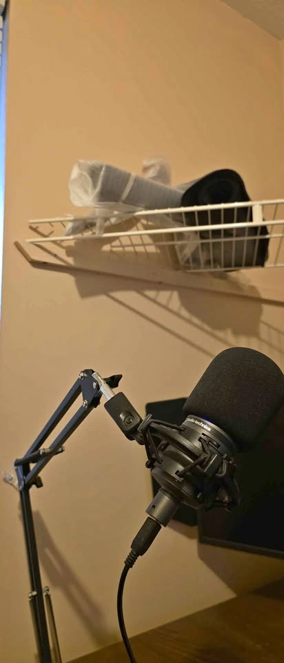 Audio Technica AT2020 MIC