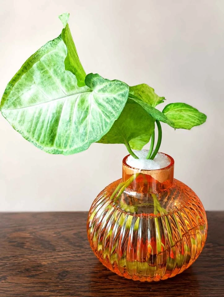 New orange vases for sale $5 each - photo 3