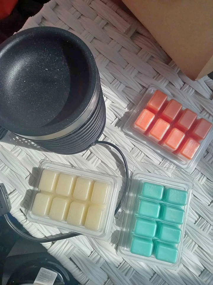 Essenza Electric Wax Warmer and 3 Scented Wax Cubes