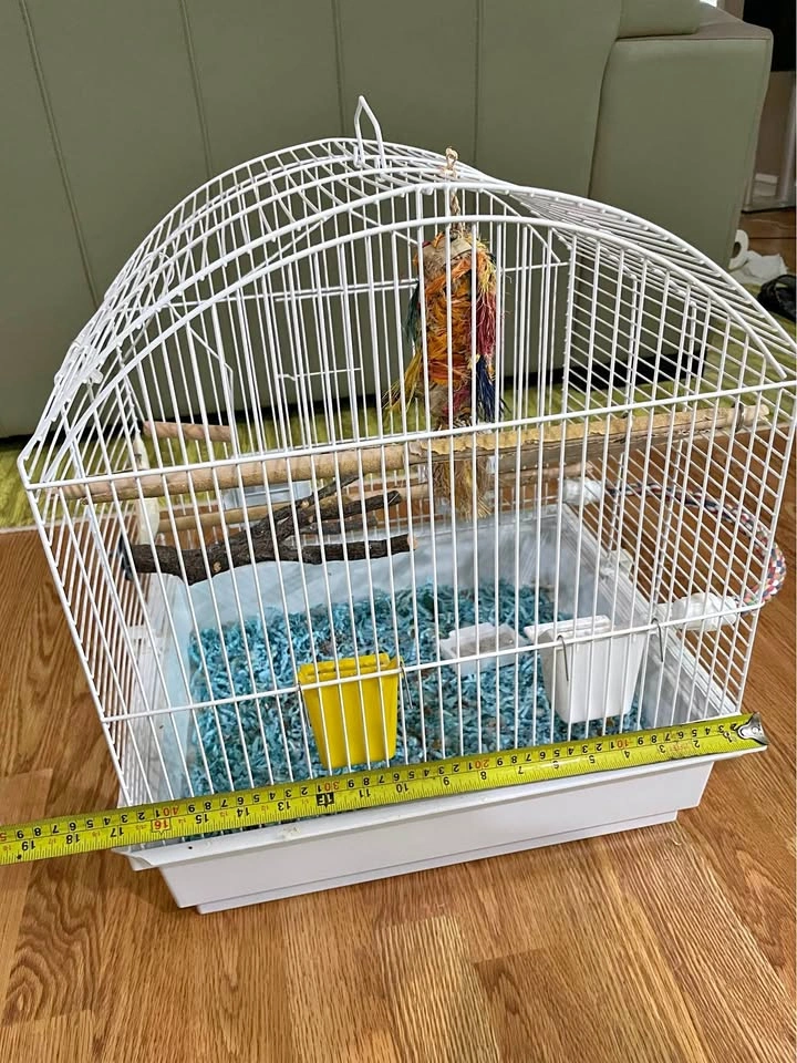 Bird cage