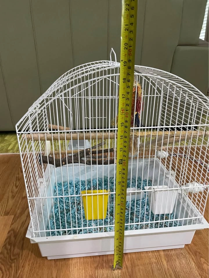 Bird cage - photo 2