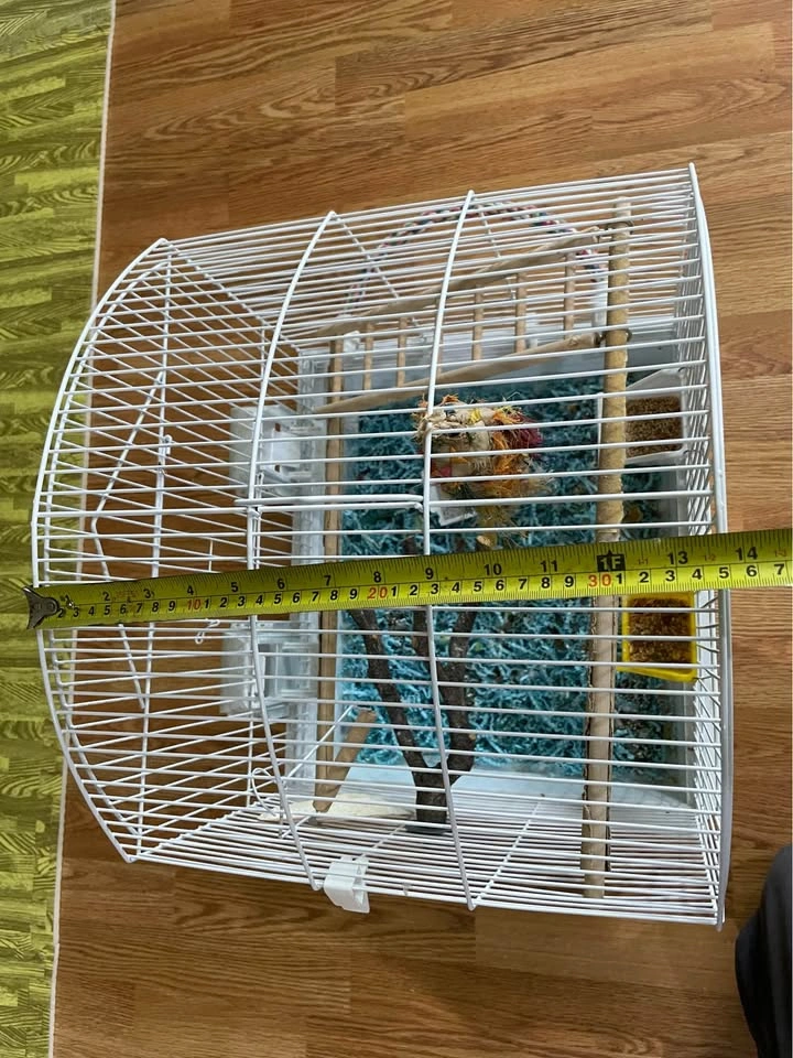 Bird cage - photo 3