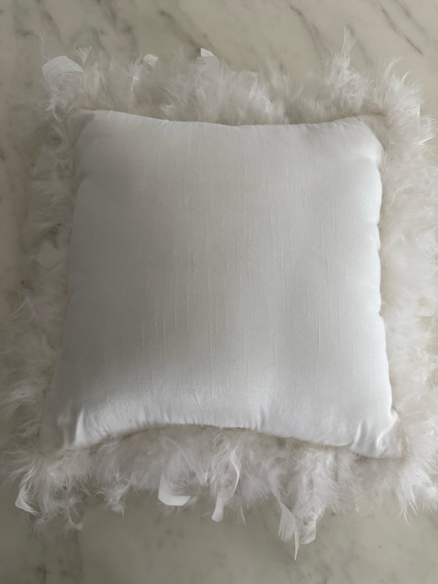 Zara Home Cushion