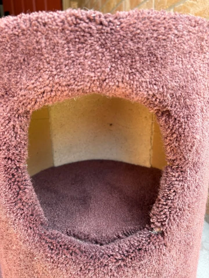 Pink Sherpa Pet Carrier & Brown Cat Condo Set - photo 3