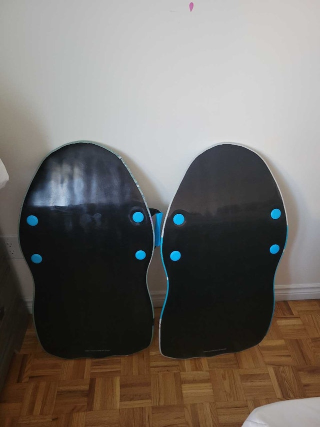 Frozen and Paw Patrol Sleds - photo 2