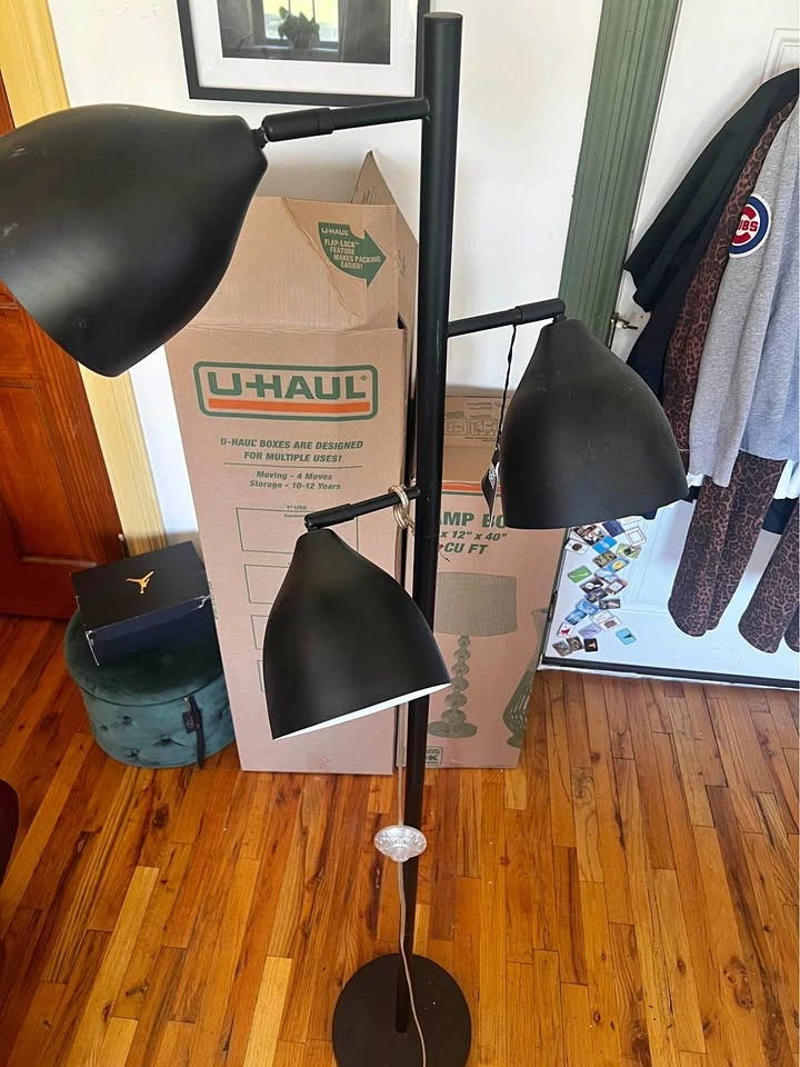 Modern 3-Light Black Floor Lamp