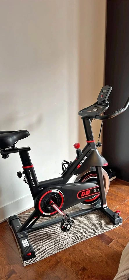 DMASUN Indoor Exercise Bike