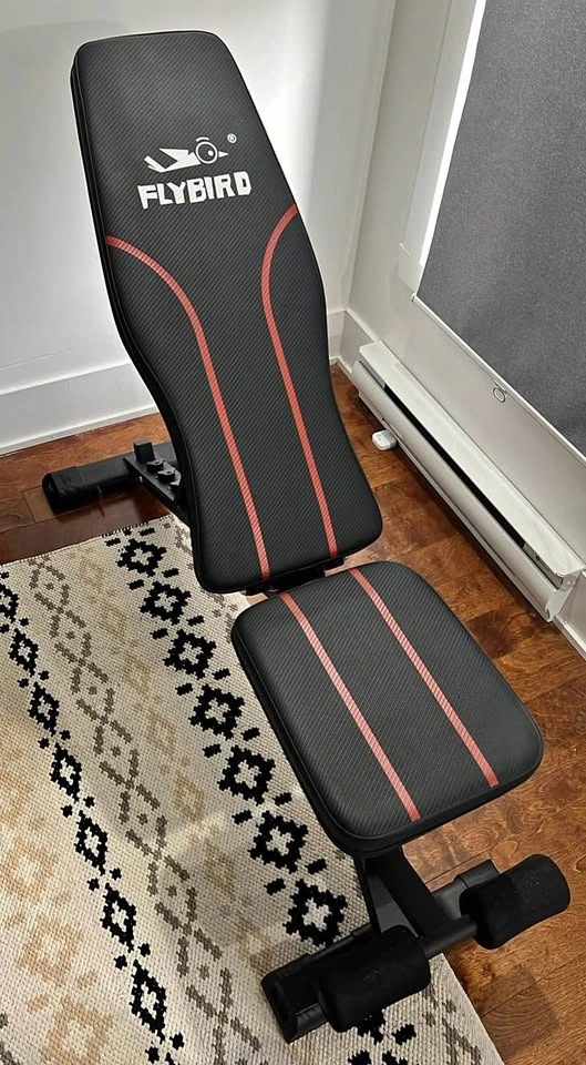 FLYBIRD Adjustable Bench