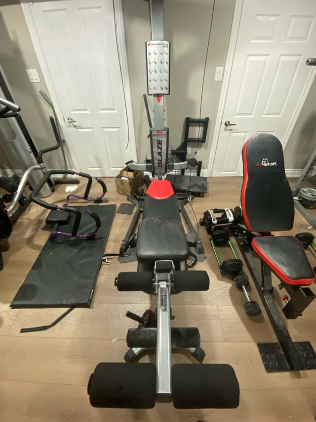 Bowflex Blaze Home Gym - photo 2