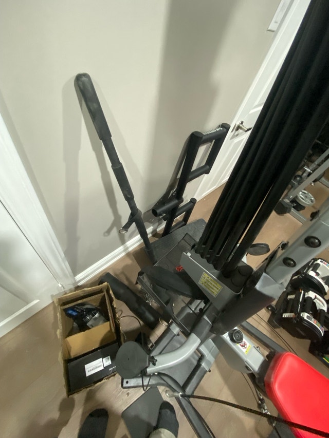 Bowflex Blaze Home Gym - photo 3