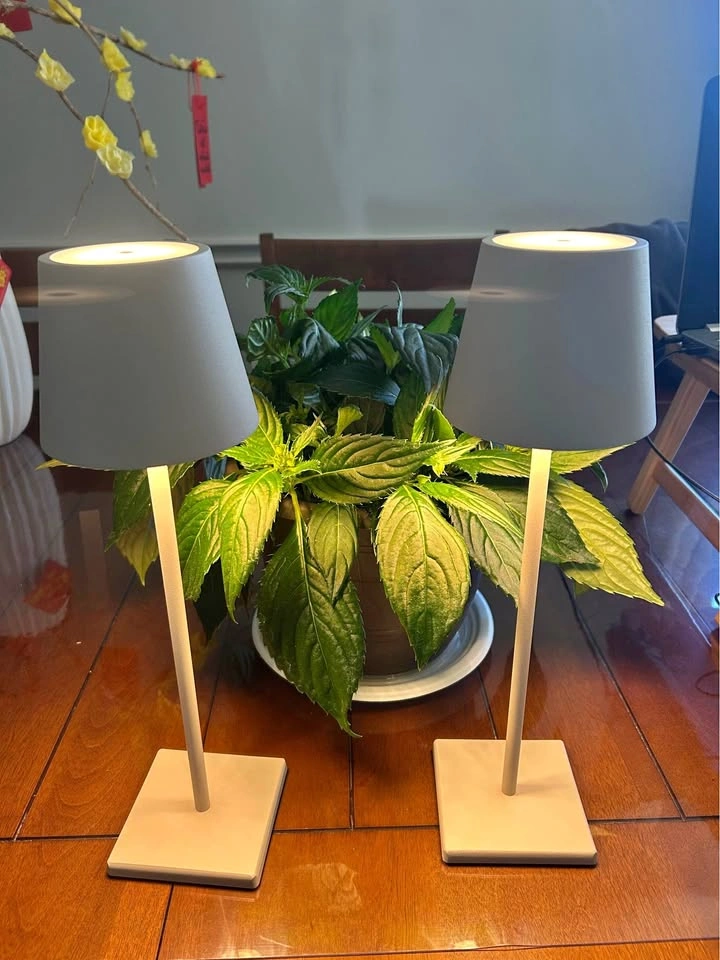 2 Portable Rechargeable Table Lamps