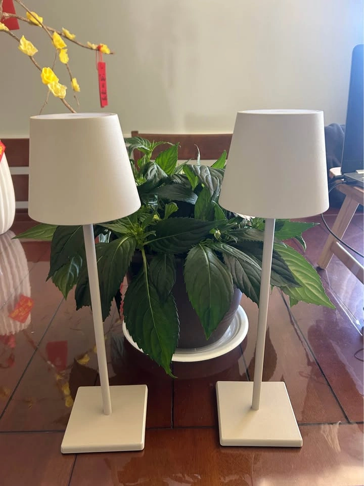 2 Portable Rechargeable Table Lamps - photo 2