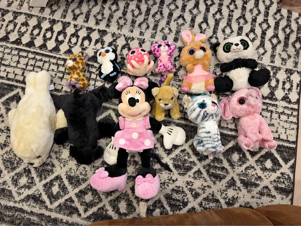 15 Assorted Ty + Disney + Mixed Plushies