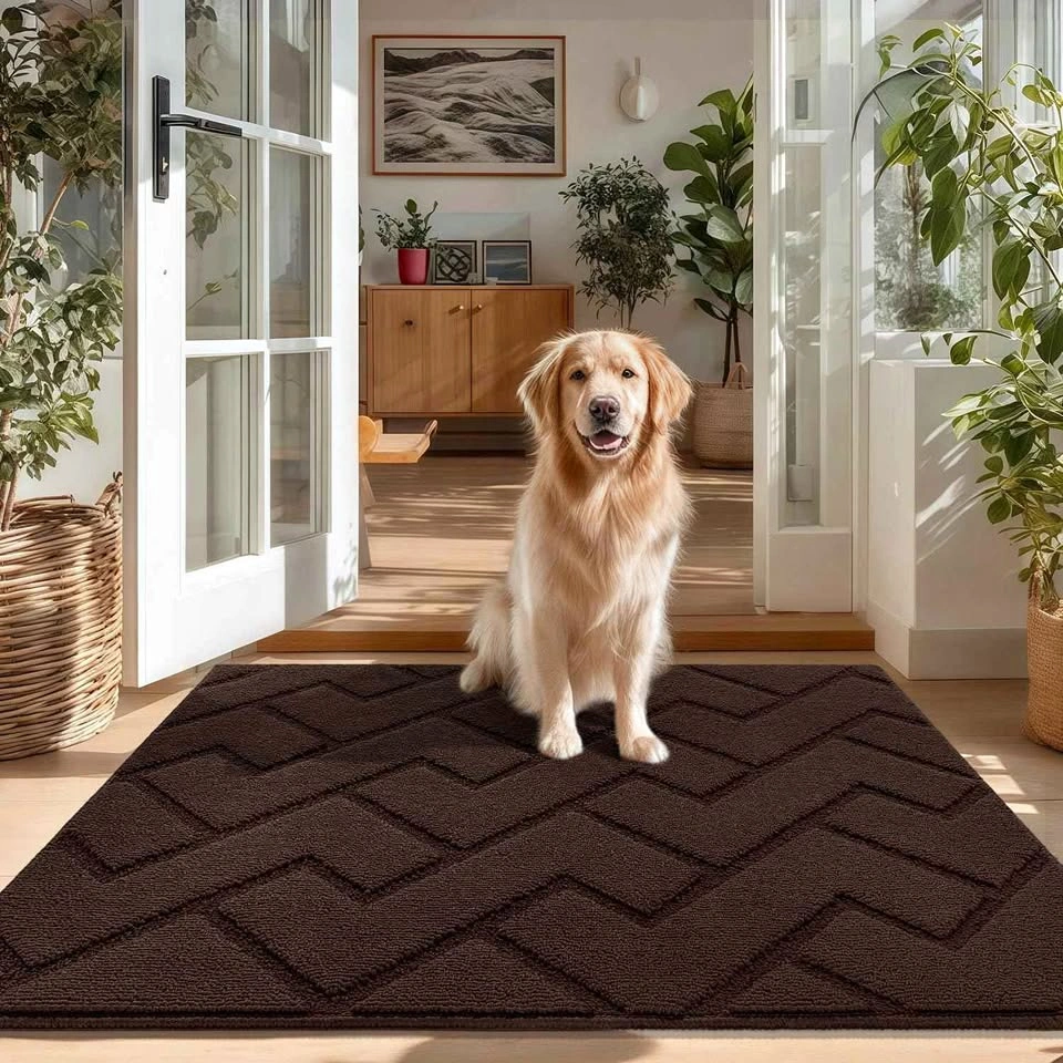 hicorfe Indoor Door Mat (32"x48", Coffee)
