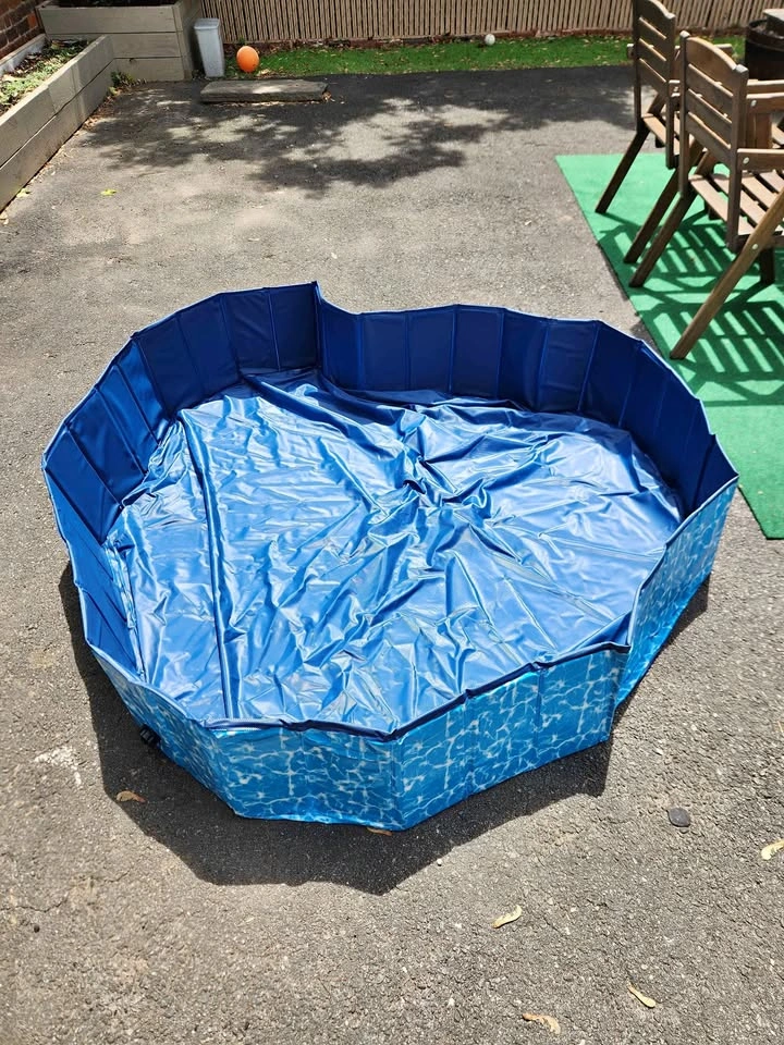 Large Blue Kiddie or Pet Pool (5ft)